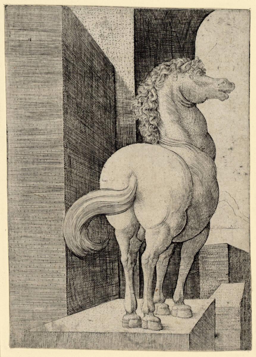 Frans Crabbe, Ein Pferd, Inv. Nr.: DG1949/623