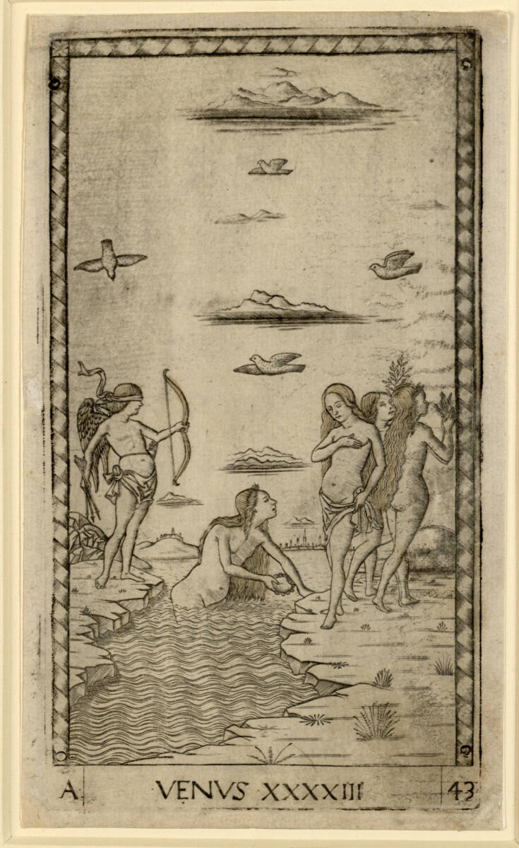 Venus, Tarocchimeister