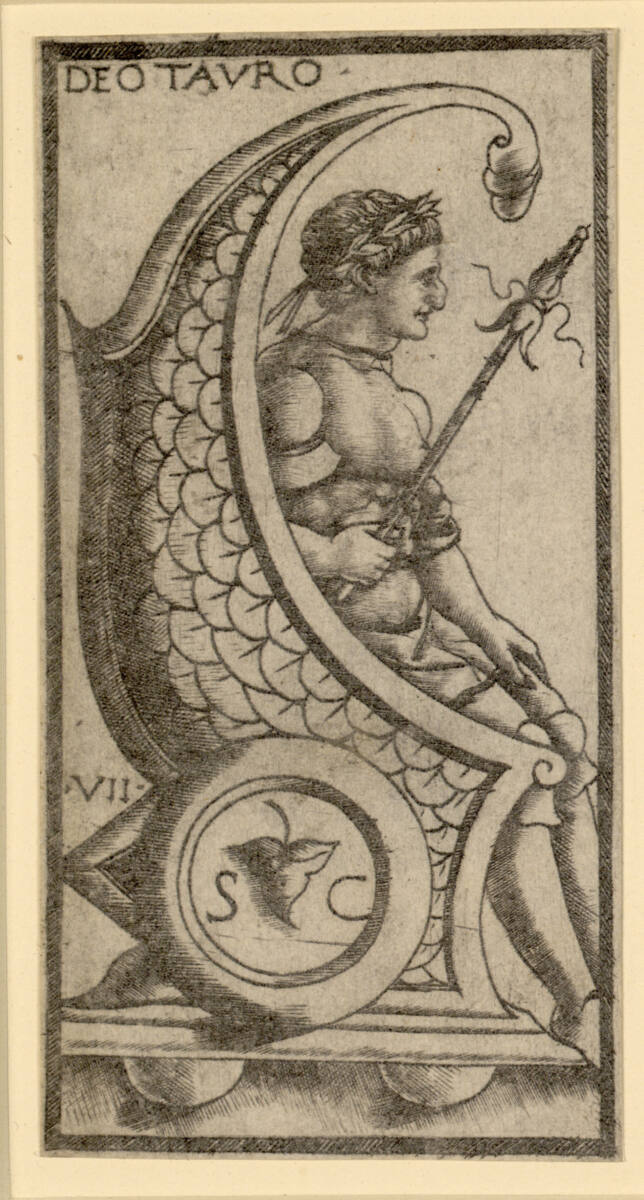 Tarocchi VII: Deotauro, MeisterderSolaBuscaTarocchi