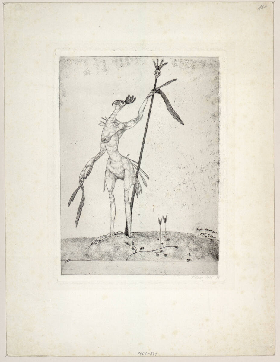 Greiser Phoenix (Inv.9), MaxGirardet