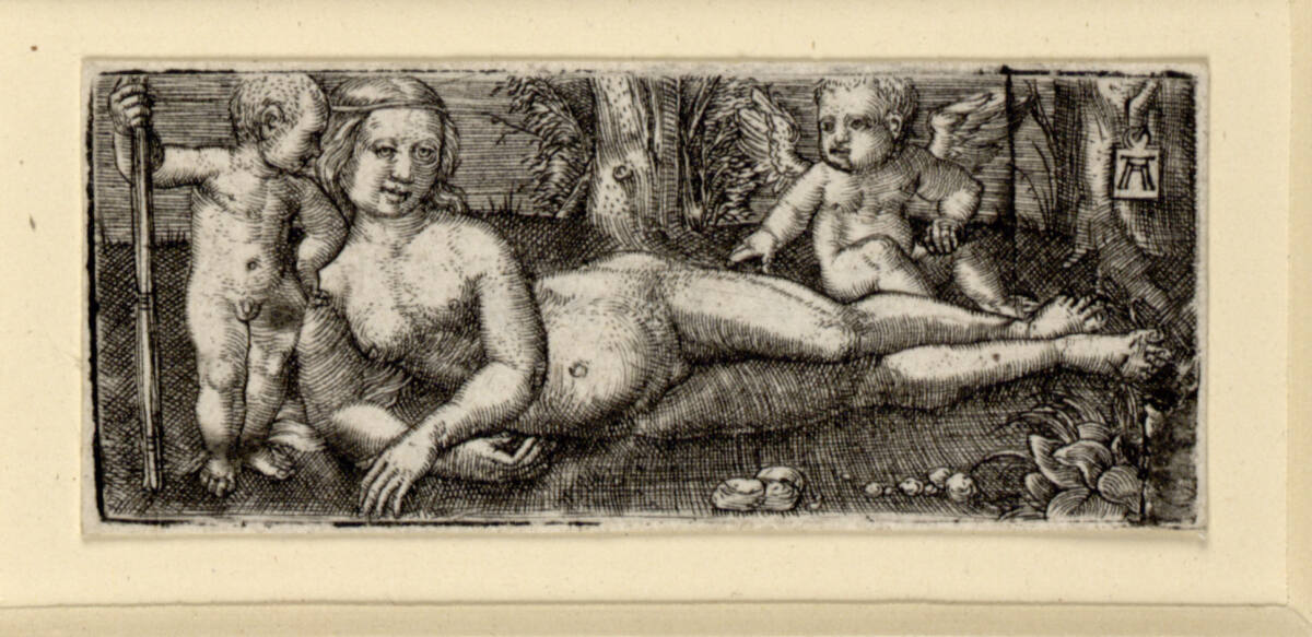 Liegende Venus mit Cupido und einem Putto, Albrecht Altdorfer