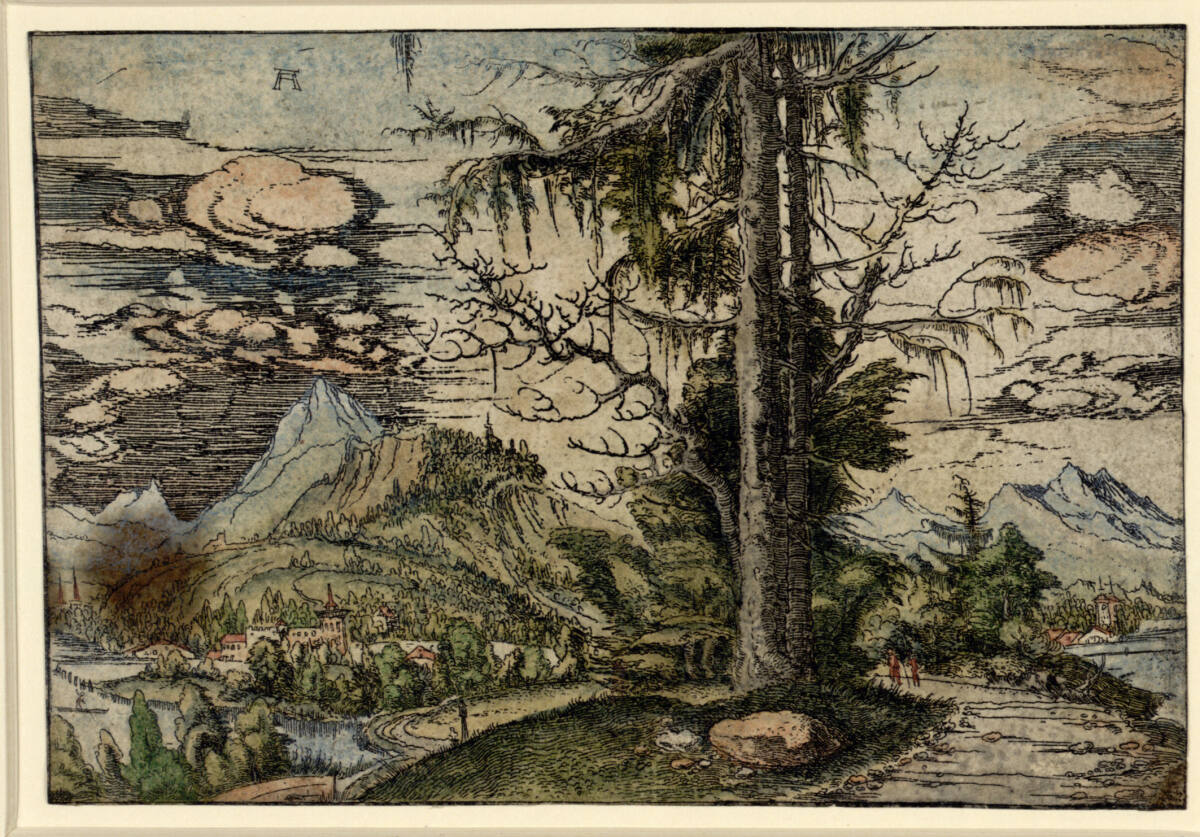 Landschaft mit Doppelfichte, Albrecht Altdorfer, c. 1520