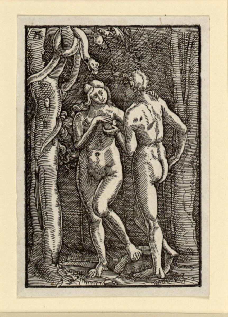 Albrecht Altdorfer, Der Sündenfall, Inv. Nr.: DG1926/1795