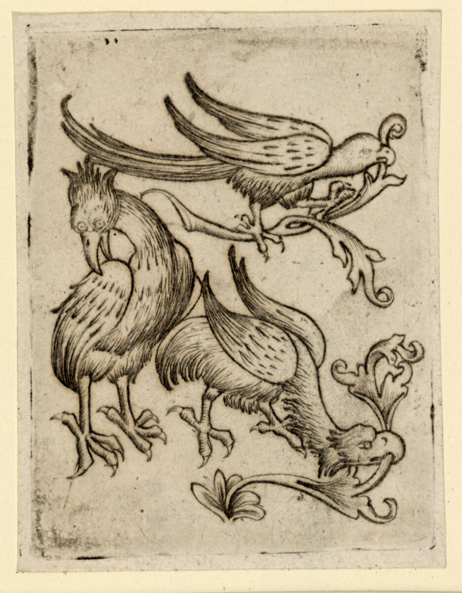 Zwei chimärische Vögel und ein Papagei, 1450–1470
