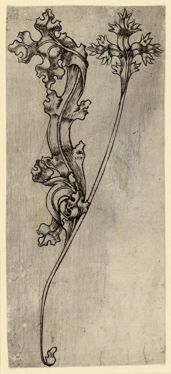 Anonym, Der Buchstabe y, Inv. Nr.: DG1926/909