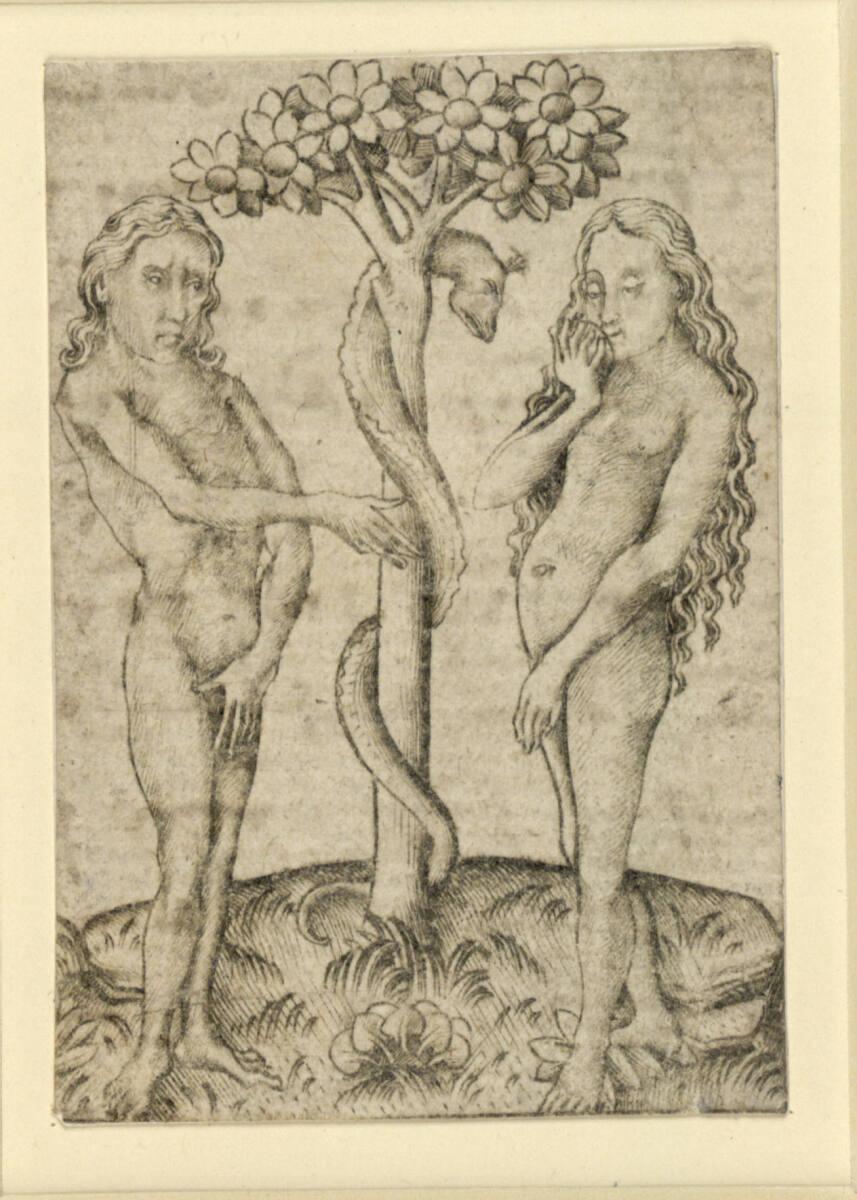 Israhel van Meckenem, Der Sündenfall, Inv. Nr.: DG1926/947