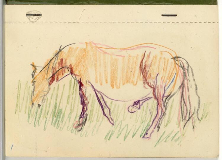 Oskar Kokoschka, Grasendes Pferd, Inv. Nr.: 44405/1