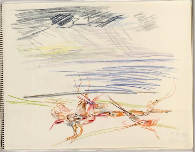 Oskar Kokoschka, Garnelen mit Seelandschaft im Hintergrund; Amalfi, Inv. Nr.: 44418/6