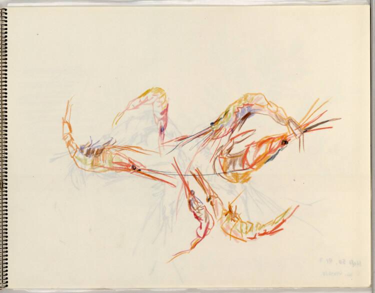 Oskar Kokoschka, Sechs Garnelen; Amalfi, Inv. Nr.: 44418/7