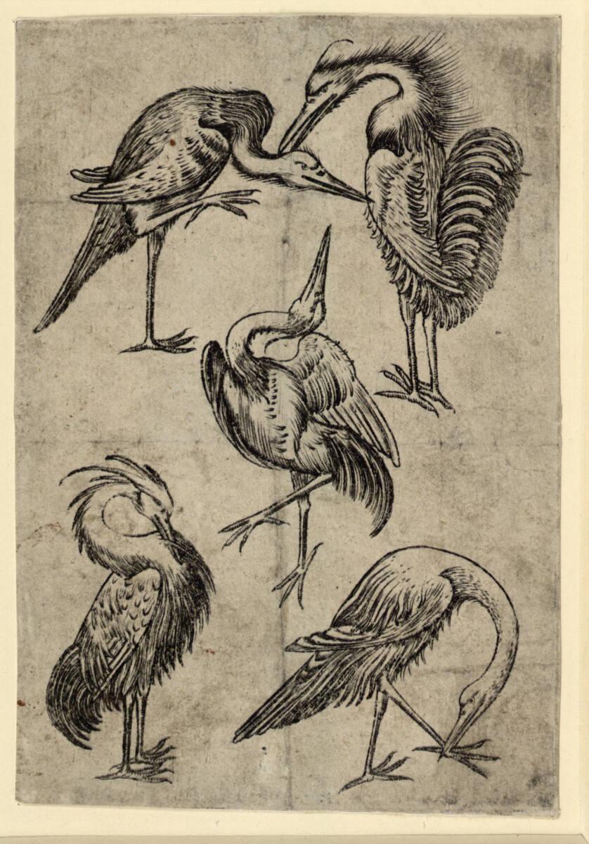 Meister der Spielkarten, Vogel-Fünf, Inv. Nr.: DG1926/588