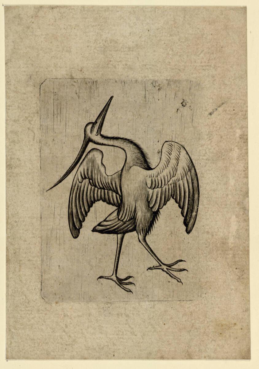 Anonym, Vogel-Ass A, Inv. Nr.: DG1926/636