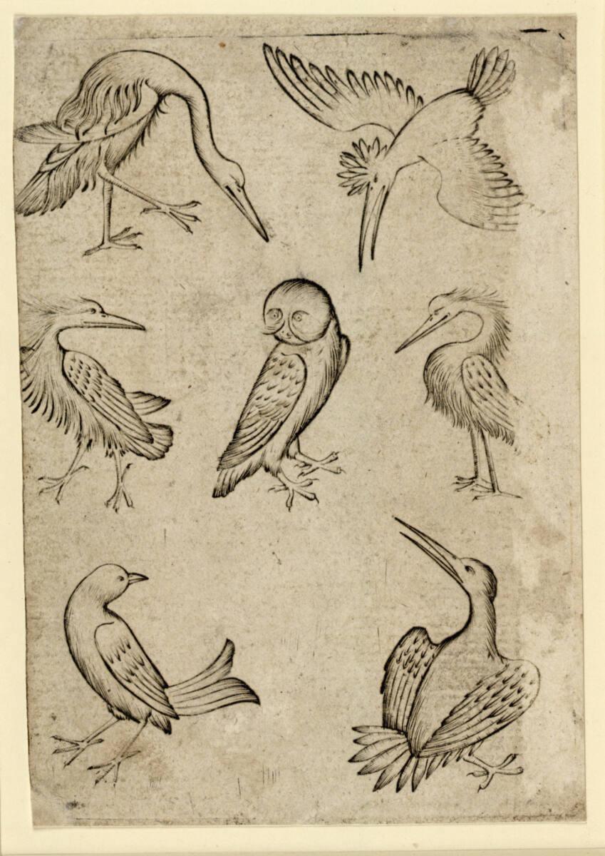 Anonym, Vogel-Sieben, Inv. Nr.: DG1926/643
