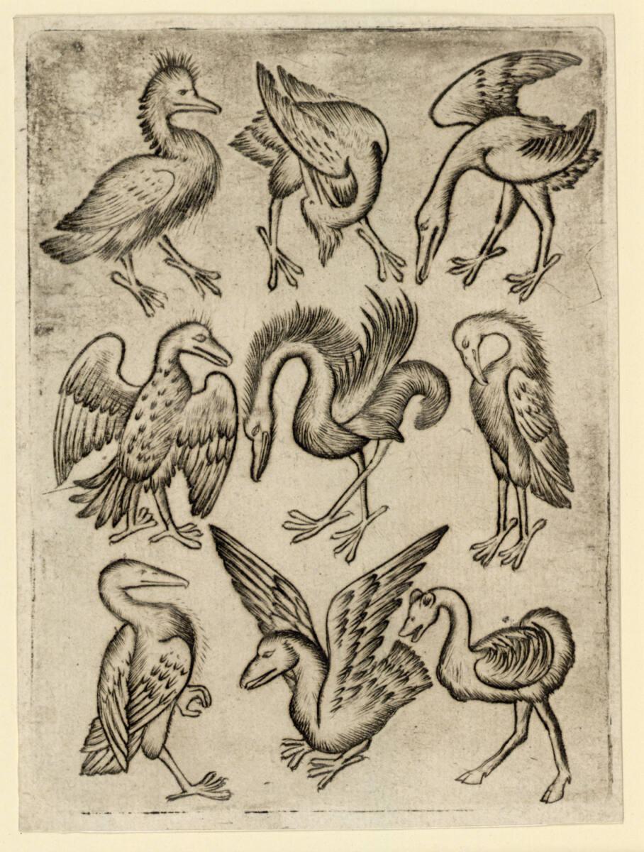 Anonym, Vogel-Neun A, Inv. Nr.: DG1926/647