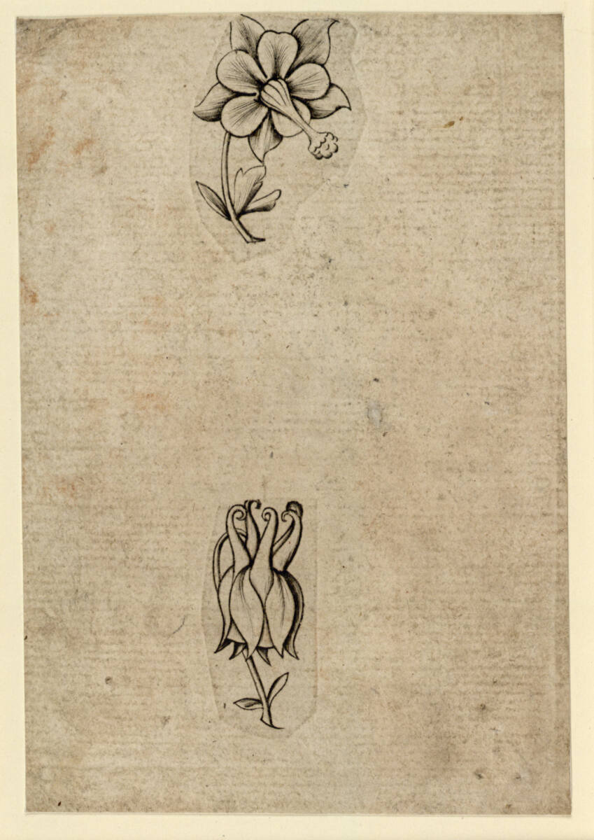 Blumen-Zwei