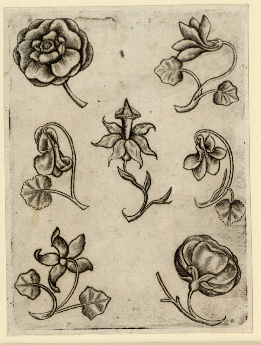 Blumen-Sieben