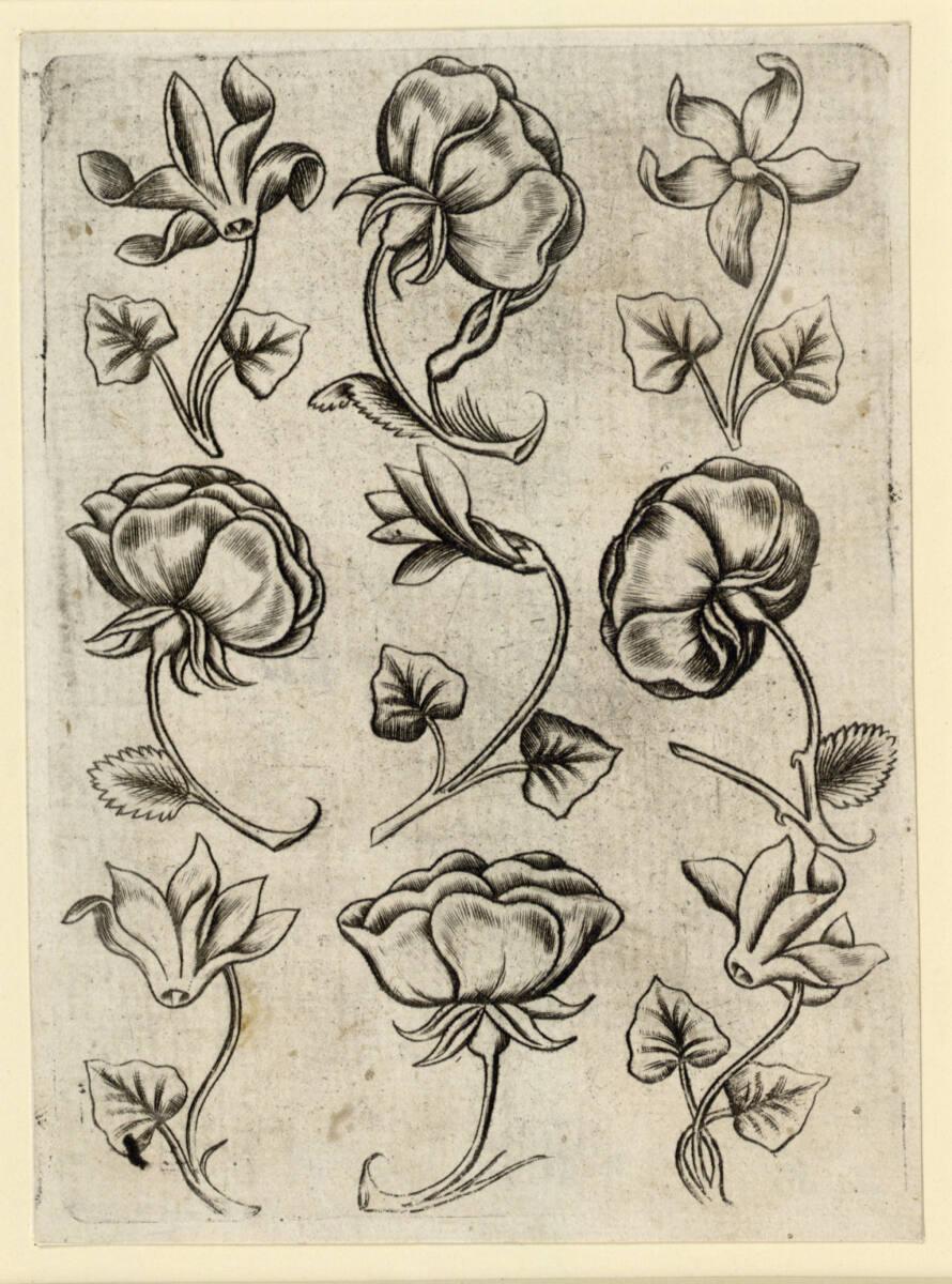 Anonym, Blumen-Neun B, Inv. Nr.: DG1926/659