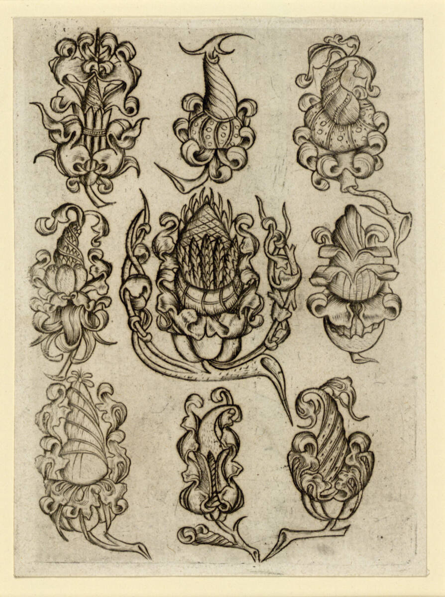 Verschiedene Ornamentblumen: Blatt 2, Israhel van Meckenem