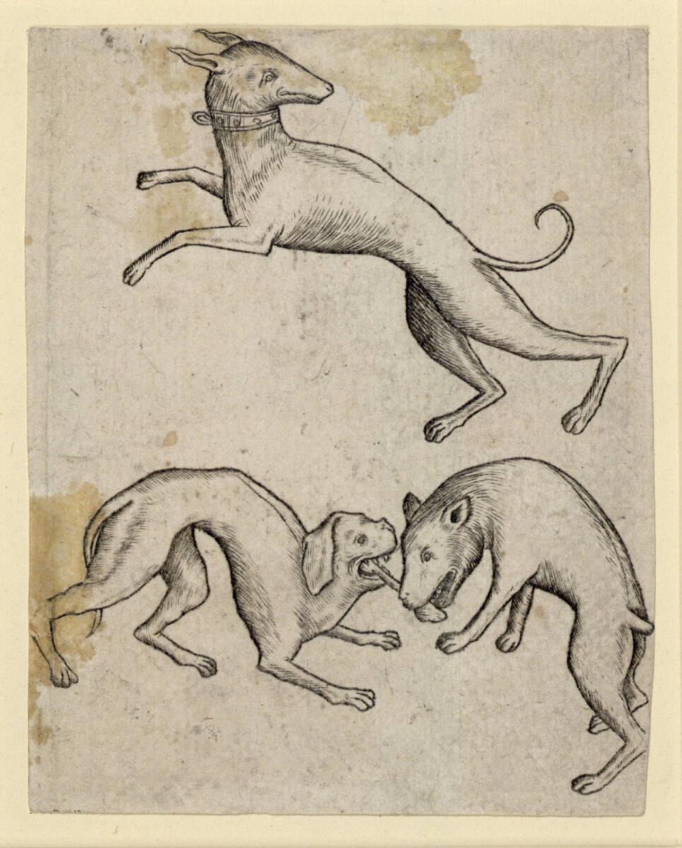 Israhel van Meckenem, Hunde-Drei, Inv. Nr.: DG1926/1337