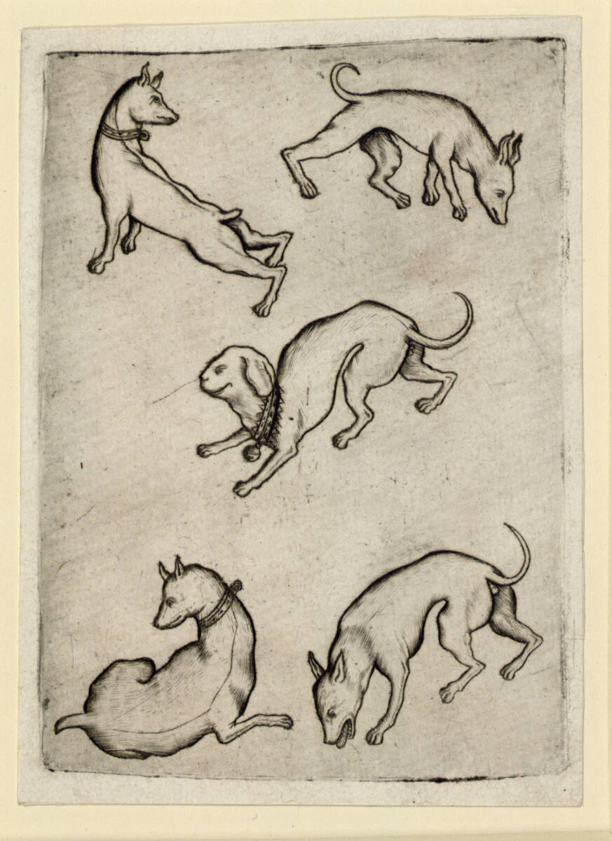 Hunde-Fünf, Israhel van Meckenem