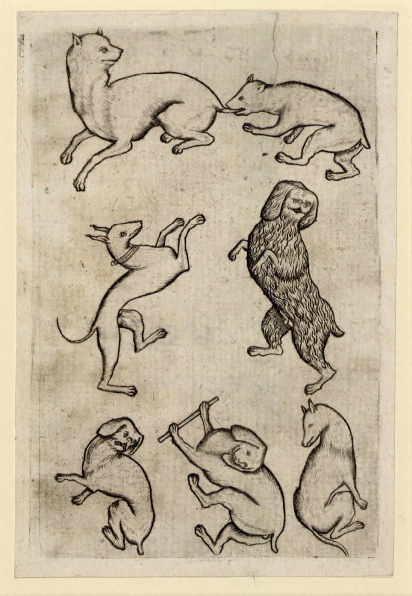 Israhel van Meckenem, Meister E.S., Hunde-Sieben, Inv. Nr.: DG1926/1340