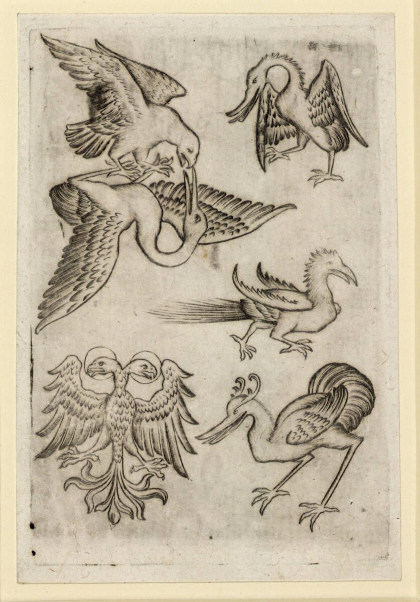 Israhel van Meckenem, Vögel-Sechs, Inv. Nr.: DG1926/1344