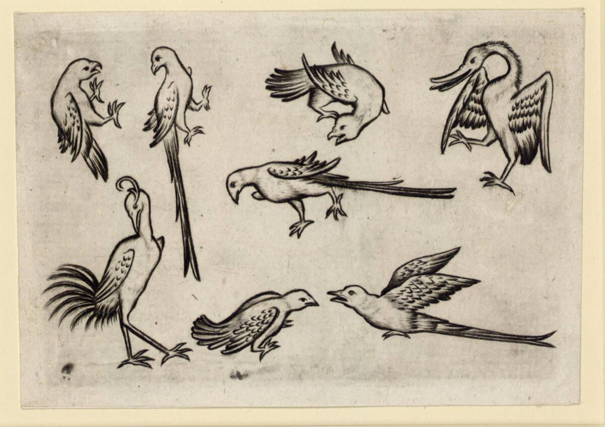 Israhel van Meckenem, Vögel-Acht, Inv. Nr.: DG1926/1346