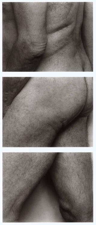 John Coplans, Frieze No. 6, Inv. Nr.: Foto2003/6/1