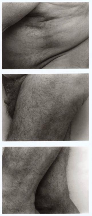 John Coplans, Frieze No. 6, Inv. Nr.: Foto2003/6/2