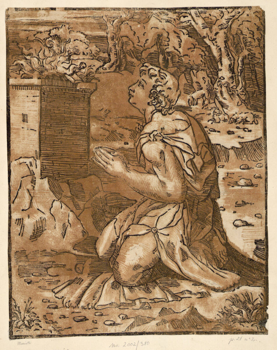 Abel, Ugo da Carpi, 16th century