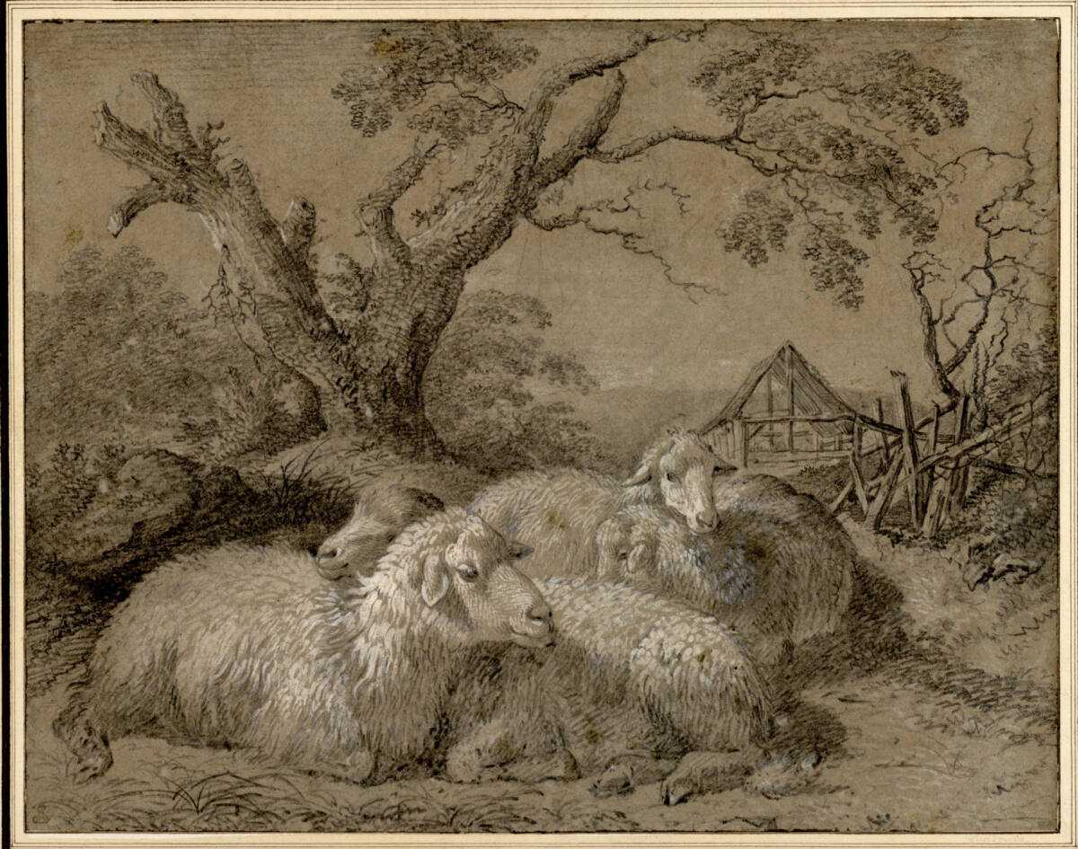 Vier lagernde Schafe, Francesco Londonio