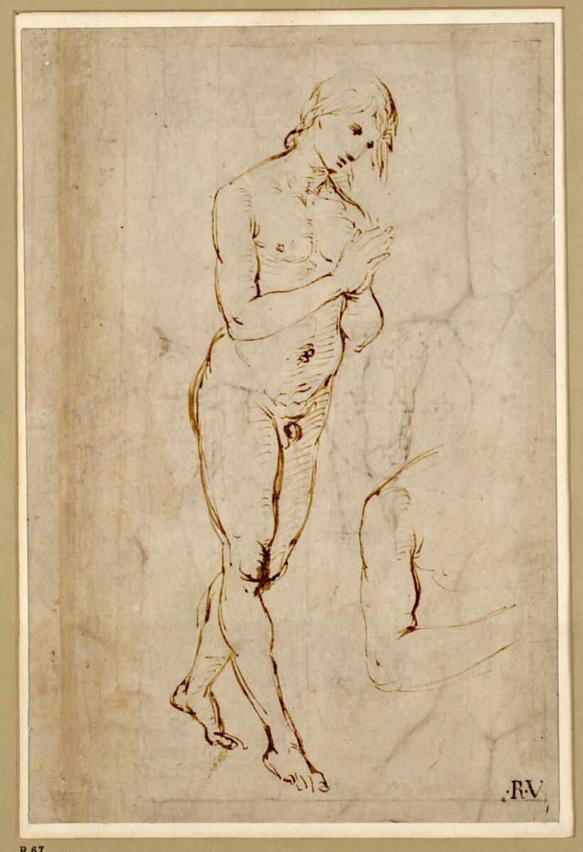 Raffaello Santi, Schreitender Jünglingsakt mit gefalteten Händen, Inv. Nr.: 250r