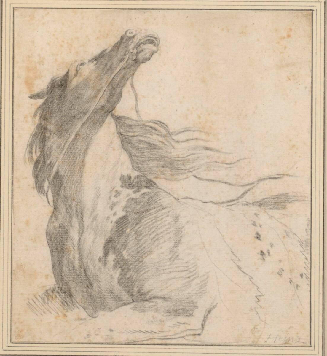 Scheuendes Pferd, Inv. Nr.: 3322