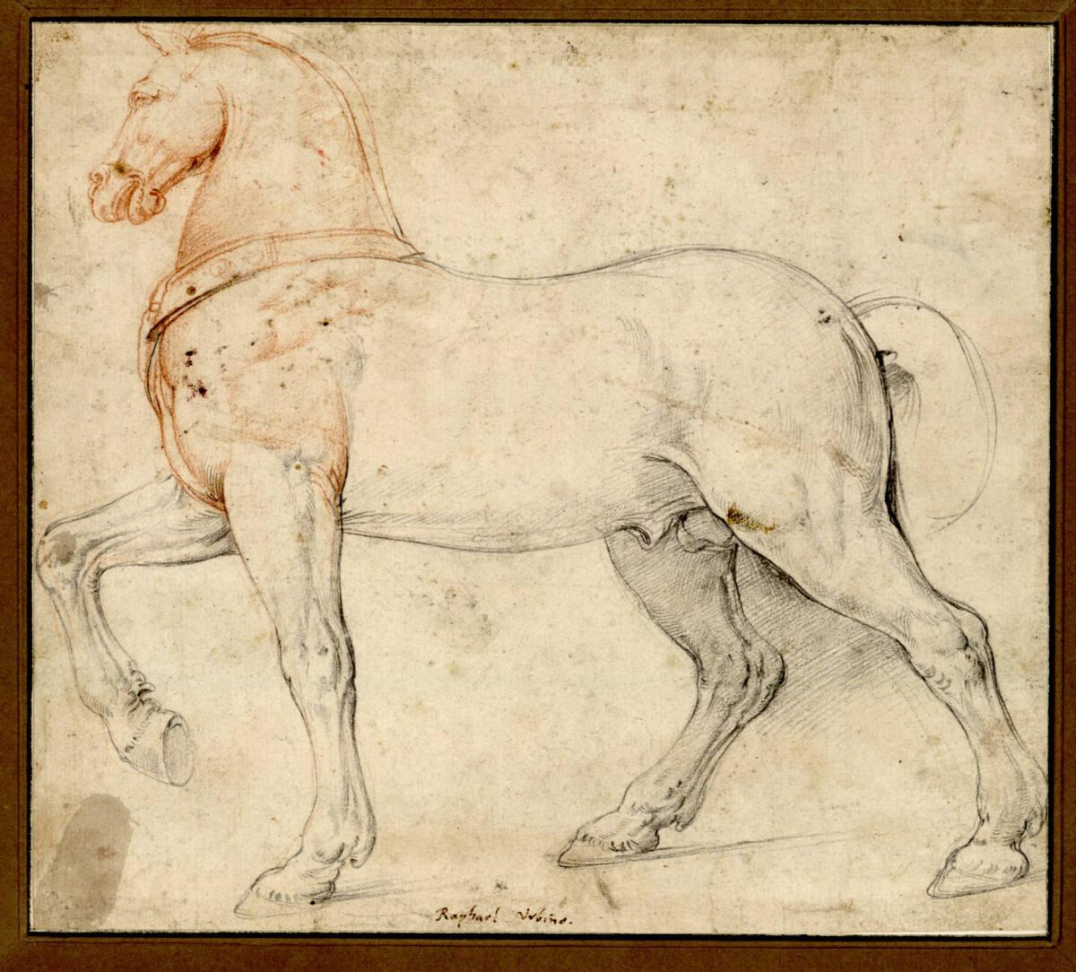 Giovanni Battista Franco gen. Semolei, Studie eines Pferdes nach links, Inv. Nr.: 267