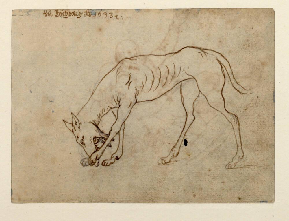 Valentin Wagner, Reiseskizzenbuch: Ein Windhund, Inv. Nr.: 3416v