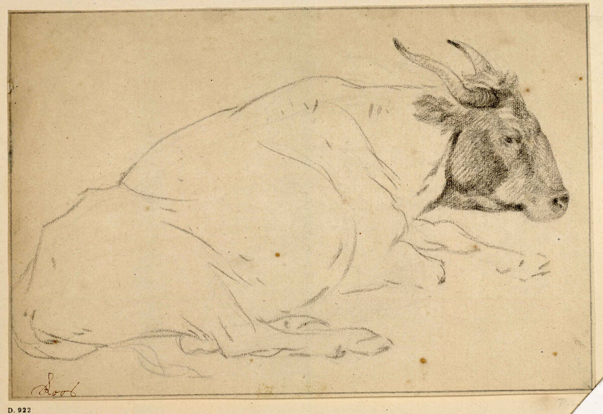 Nach rechts liegender Ochse (Der Kopf durchgezeichnet), Theodor Roos