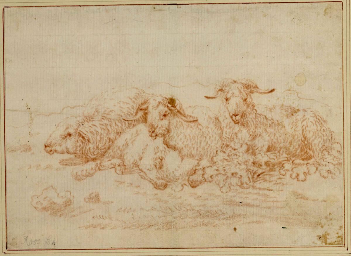 Johann Heinrich Roos, Drei ruhende Schafe, Inv. Nr.: 3651