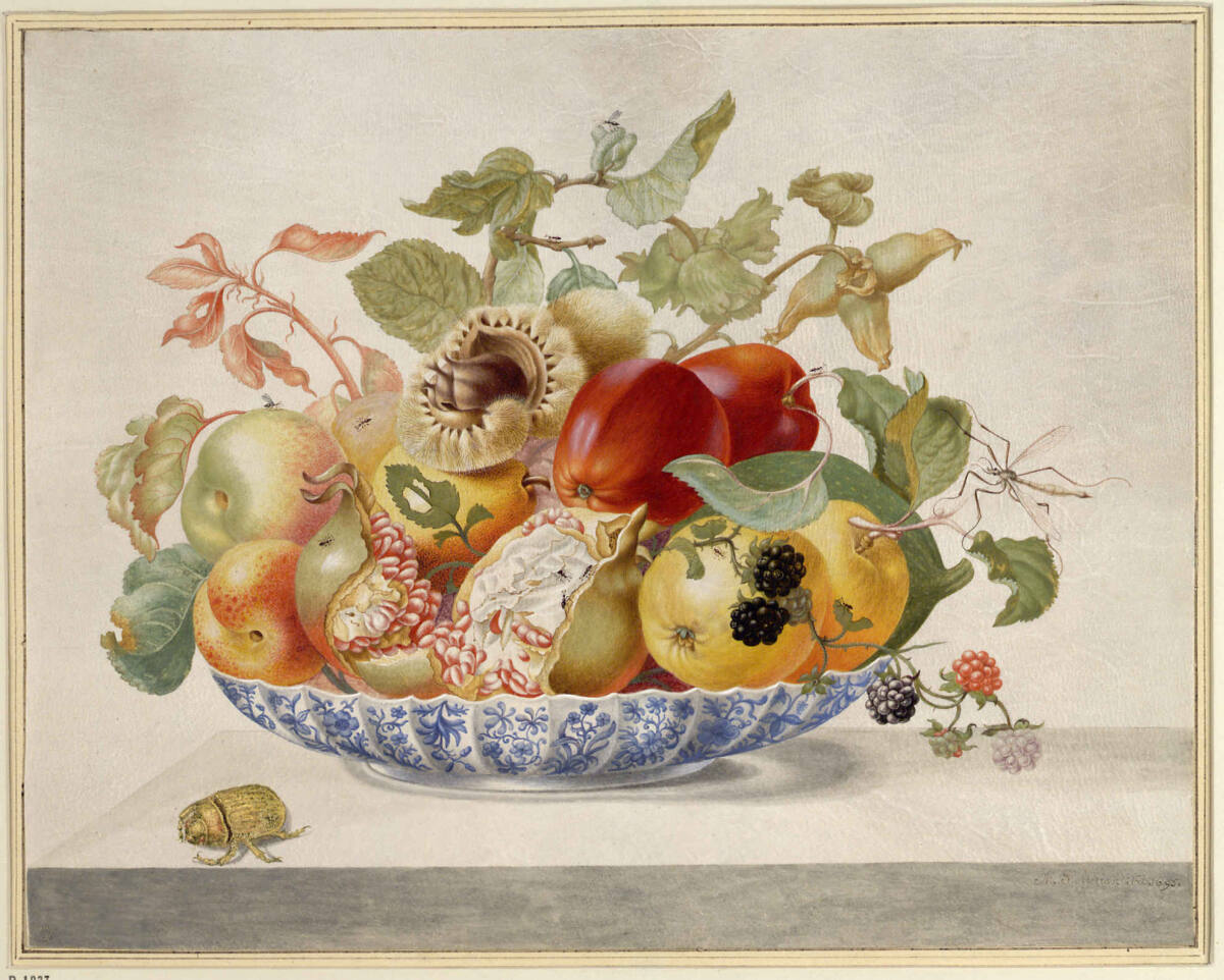 Obstschale, Maria Sibylla Merian, 1695
