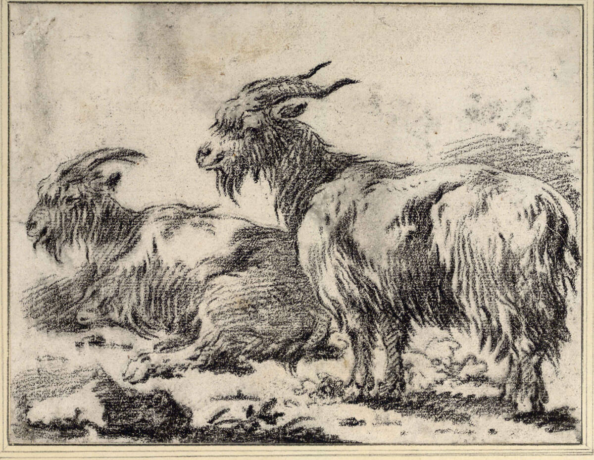 Liegender und stehender Ziegenbock, Philipp Peter Roos