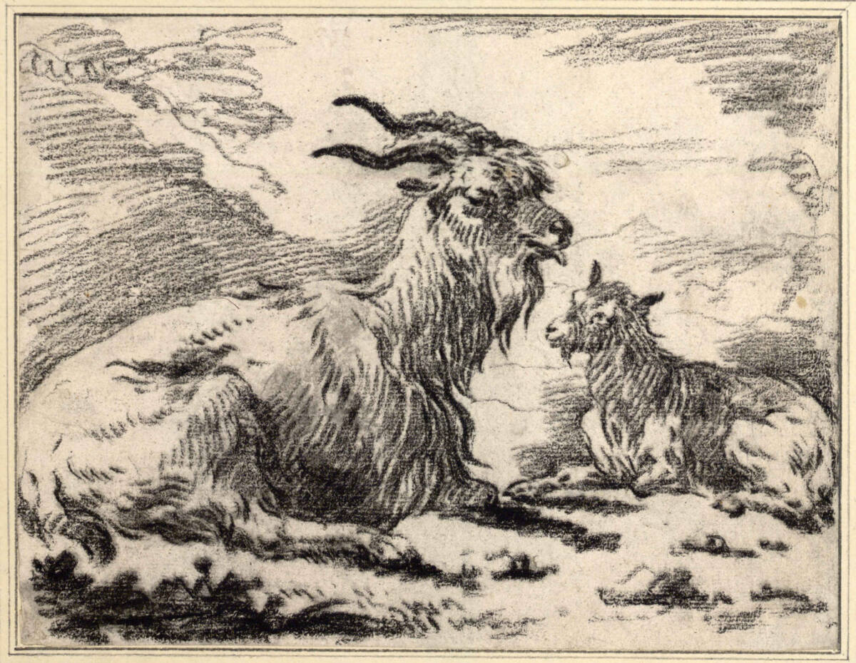 Liegender Ziegenbock und Ziege, Philipp Peter Roos