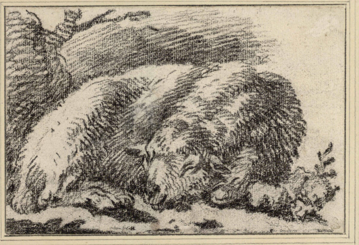 Schlafendes Schaf, Philipp Peter Roos