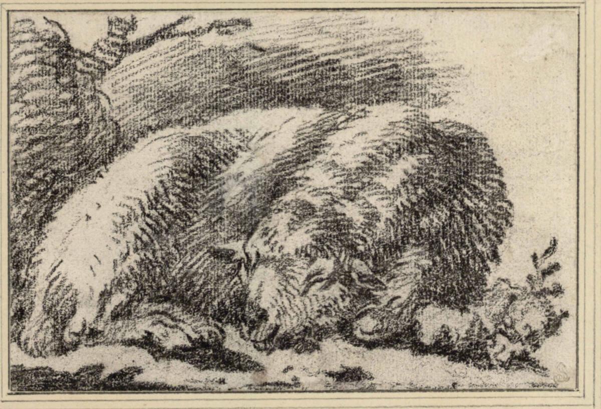 Philipp Peter Roos, Schlafendes Schaf, Inv. Nr.: 3754