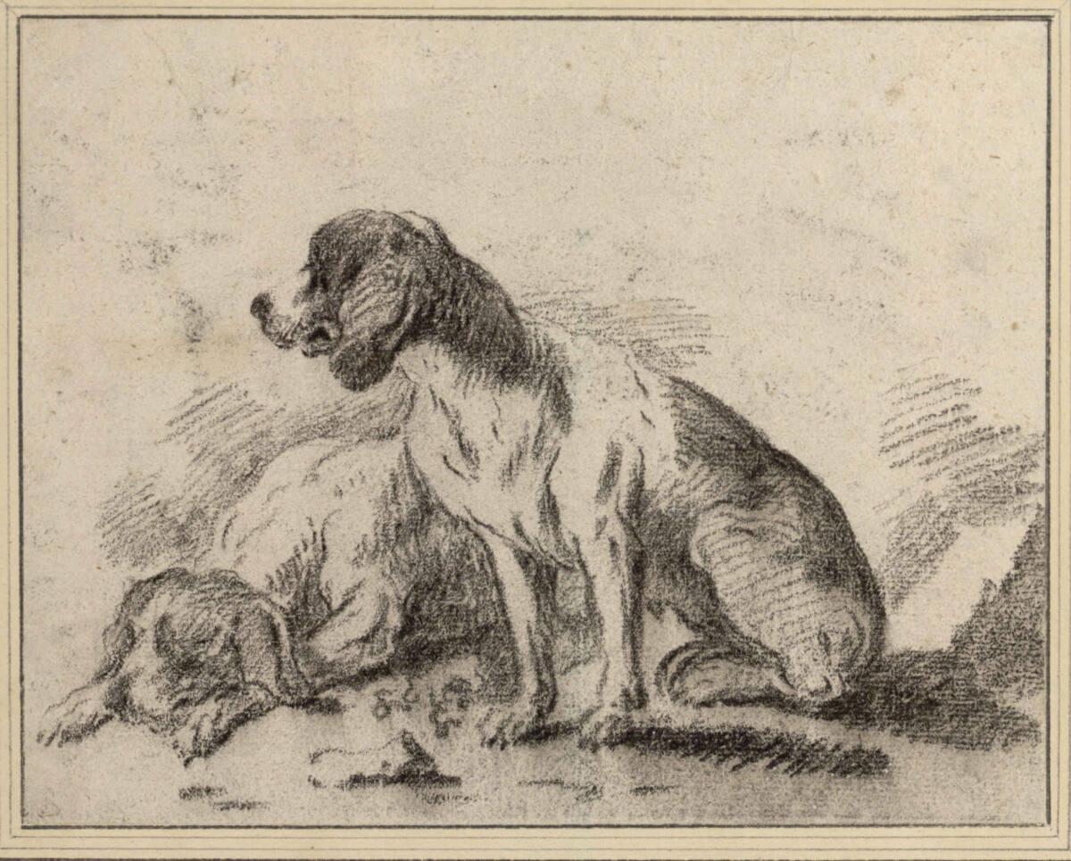 Philipp Peter Roos, Sitzender und liegender Jaghund, Inv. Nr.: 3756