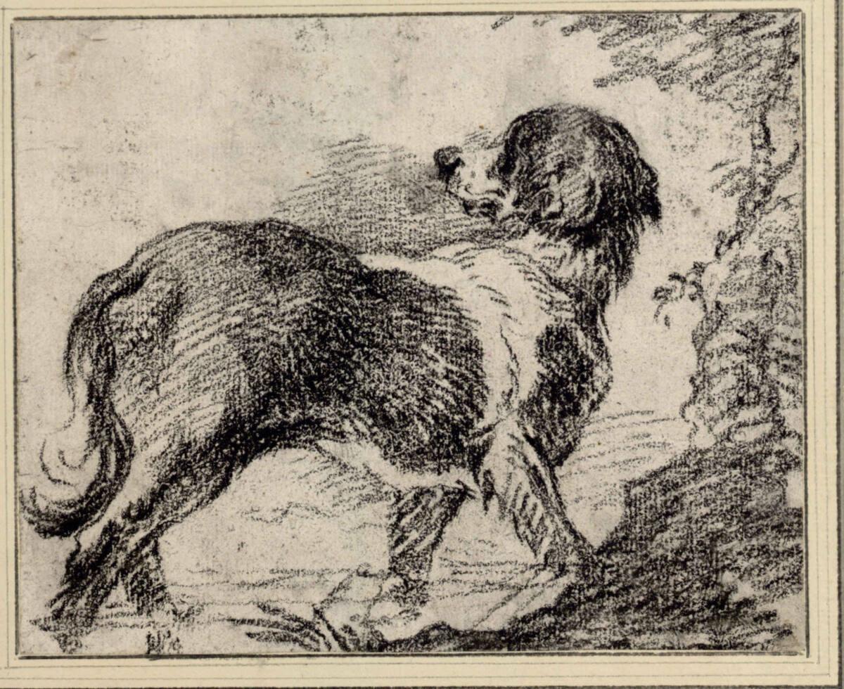 Philipp Peter Roos, Nach rechts schreitender Jagdhund, Inv. Nr.: 3758