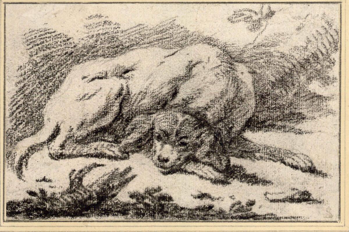 Philipp Peter Roos, Liegender Hund, Inv. Nr.: 3760