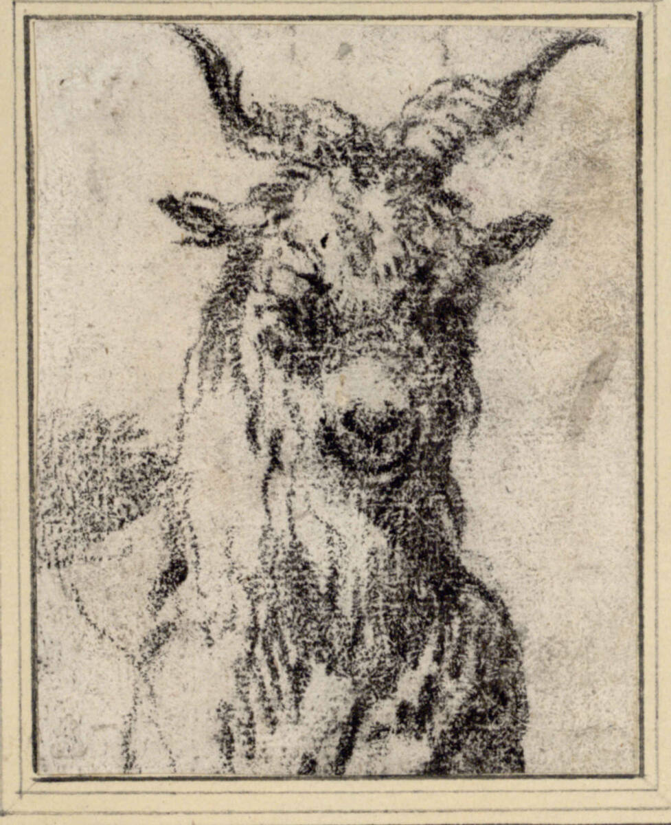 Ziegenkopf, Philipp Peter Roos