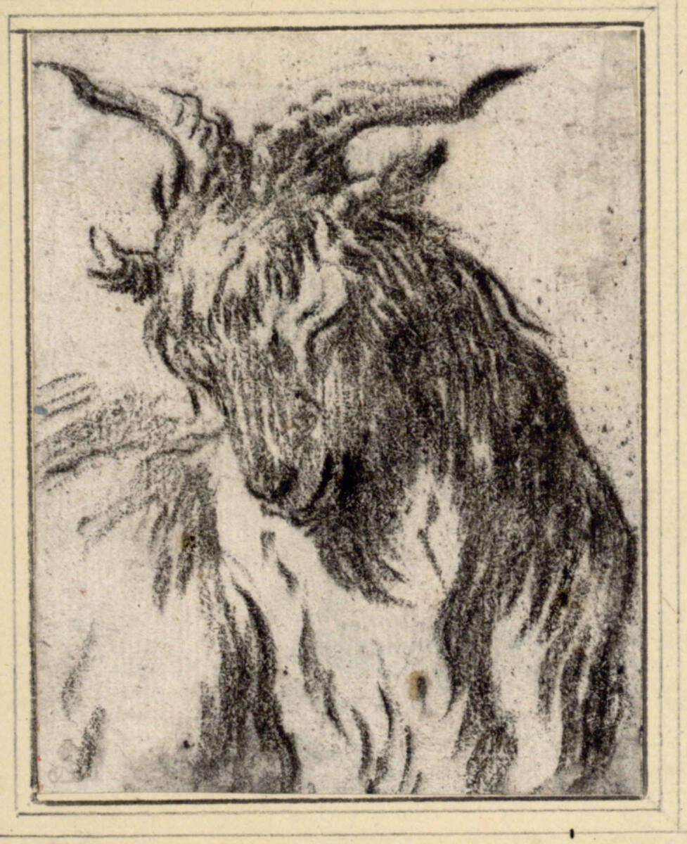Ziegenkopf, Philipp Peter Roos
