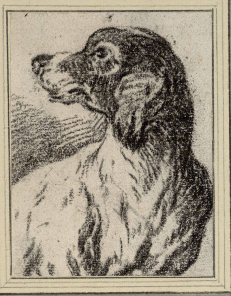 Jagdhundekopf, Philipp Peter Roos