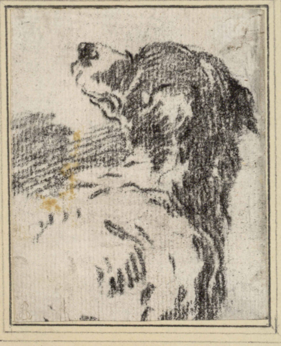 Jagdhundekopf, Philipp Peter Roos