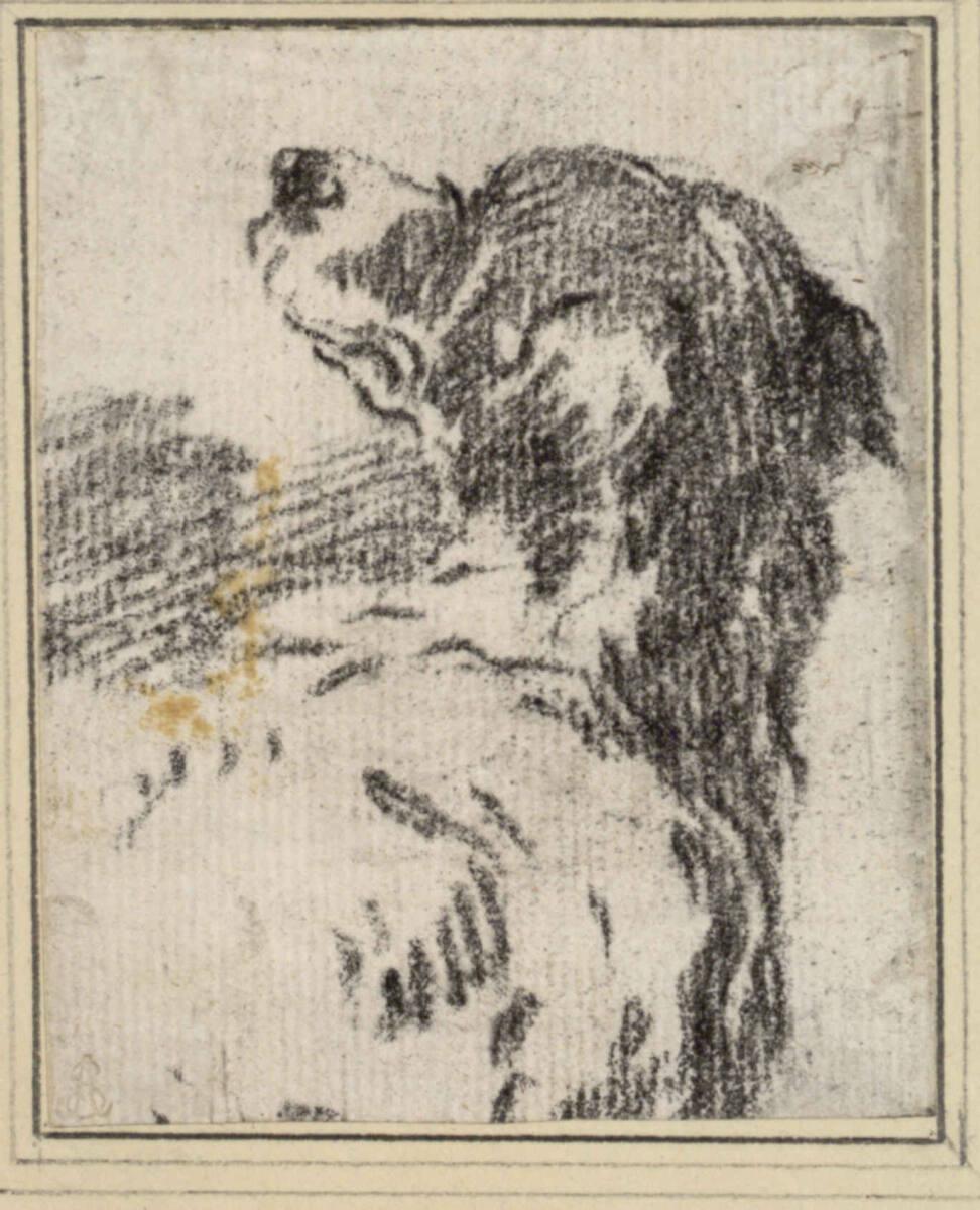 Philipp Peter Roos, Jagdhundekopf, Inv. Nr.: 3767
