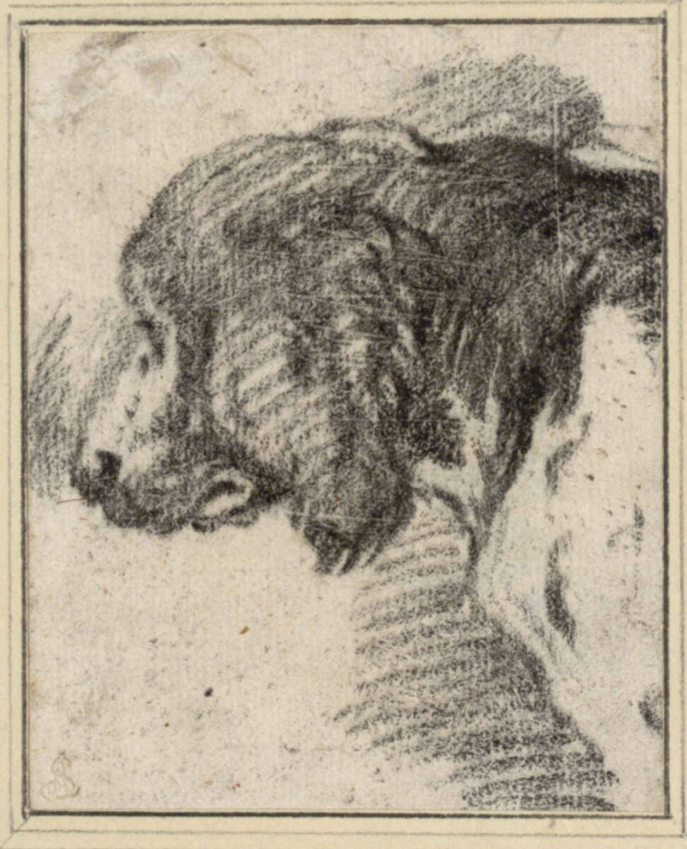 Jagdhundekopf, Philipp Peter Roos